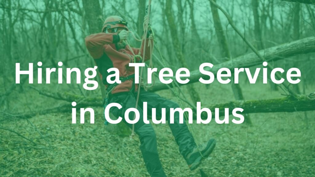 Hiring a Tree Service in Columbus